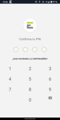 Pin de confirmación de seguridad de acceso a la app